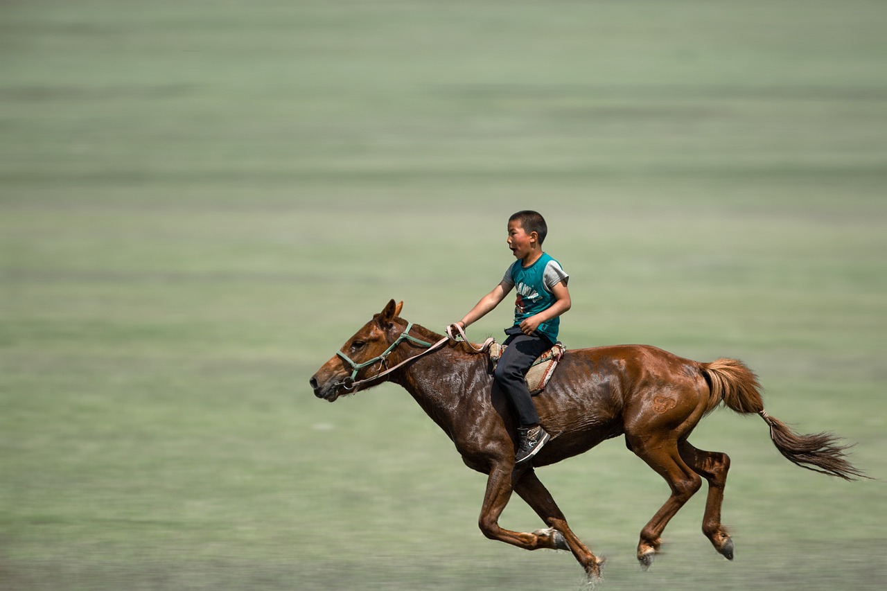 A Mongolian boy is riding a horse